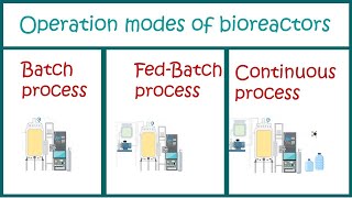 Types of Bioprocesses  Batch  Fed Batch and Continuous processes [upl. by Petit]