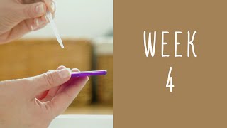 4 Weeks Pregnant  Pregnancy Week by Week [upl. by Adel]