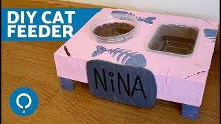 DIY Cat Food Bowl 😺 Crafts for Cats [upl. by Yelraf170]