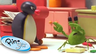 Pingu and the School Pet  Pingu Official  Cartoons for Kids [upl. by Binky760]