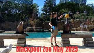 Blackpool Zoo May 2023 [upl. by Gianni]