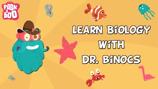 Learn Biology With Dr Binocs  Compilation  Learn Videos For Kids [upl. by Ardnaeel]