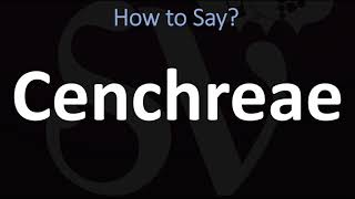 How to Pronounce Cenchreae CORRECTLY [upl. by Mcculloch]