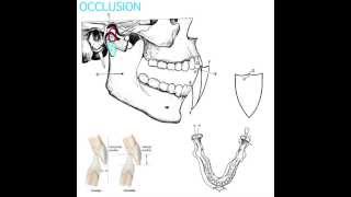 Occlusion Part 1 [upl. by Coppock681]