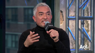 Cesar Milan On “Cesar 911”  AOL BUILD [upl. by Yeca]