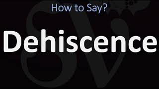 How to Pronounce Dehiscence CORRECTLY [upl. by Anicnarf]