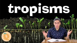 Plant Tropisms  For Kids [upl. by Eatnoid]