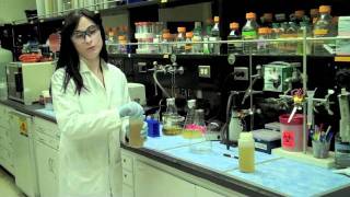 Protein Purification [upl. by Spatz967]