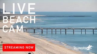 Live Surf Cam Orange Beach Alabama [upl. by Zacks]