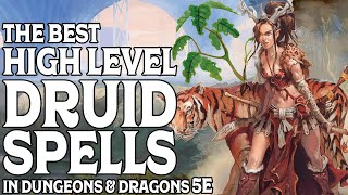 The Best High Level Druid Spells In Dungeons and Dragons 5e [upl. by Hiller281]