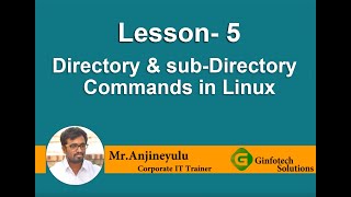 Directories and subDirectories Creation in Linux [upl. by Esiouqrut]