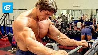 How To Train For Mass  Arnold Schwarzeneggers Blueprint Training Program [upl. by Acessej]