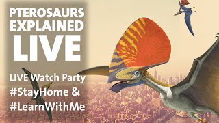 Pterosaurs Explained LIVE StayHome amp LearnWithMe [upl. by Latoniah]