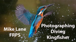 Photograph Kingfishers diving into the water [upl. by Akima]