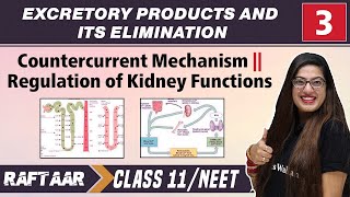 Excretory Products and its Elimination 03  Countercurrent Mechanism  Class11NEET  RAFTAAR [upl. by Nnairda]