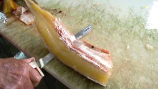 How to Clean A Northern Pike [upl. by Eedebez]