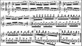 Beethoven  Diabelli Variations Op 120 Grigory Sokolov [upl. by Stout]