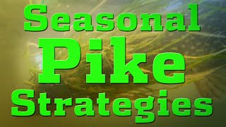 Seasonal Pike Strategies [upl. by Shanleigh]