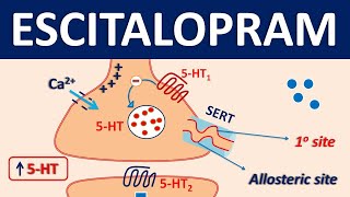 Escitalopram Lexapro  Mechanism precautions side effects amp uses [upl. by Sukram]