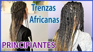 TRENZAS AFRICANAS CON EXTENSIONES  Principiantes [upl. by Noemad]