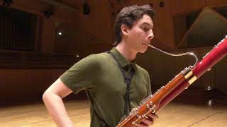 Paganini Caprice No 5  Theo Plath bassoon [upl. by Vitalis]