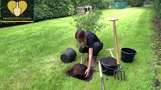 How to Plant and Stake a Tree  A simple guide [upl. by Kral199]