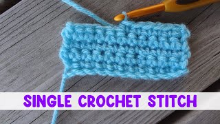 How to Work the Single Crochet Stitch [upl. by Nortad]