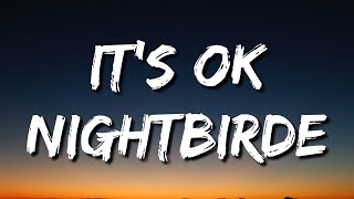 Nightbirde – It’s Okay Lyrics [upl. by Buschi238]