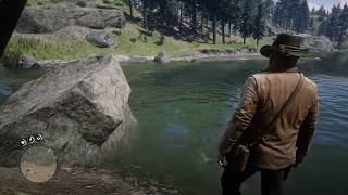 RDR2 Herbalist 9 as Arthur All New Austin plants and exact location Easy way to get LotE outfit 119 [upl. by Reggis564]