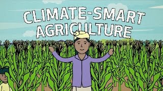 ClimateSmart Agriculture in Action [upl. by Nolava560]