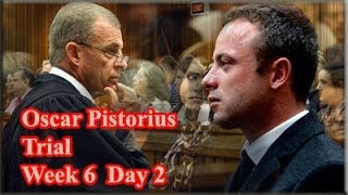 Oscar Pistorius Trial Tuesday 15 April 2014 Session 1 [upl. by Rephotsirhc49]