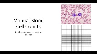 Manual Blood Cell counts [upl. by Rahmann]