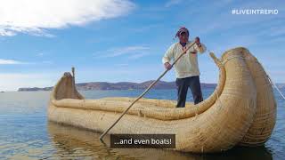 The Unique Floating Islands of Lake Titicaca [upl. by Gardell]