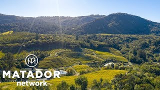 Explore Sonoma County On a Bike Ride Through the Vineyards [upl. by Ambrogino]