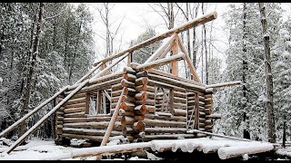 Father amp Son Building their Dream Ep56 Outsider Log Cabin [upl. by Garrard]