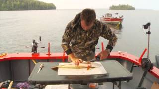 How to Remove Northern Pike Y Bones [upl. by Akinohs706]