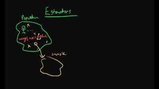 Estimators  the basics [upl. by Arelus6]