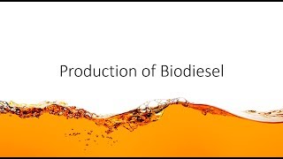 Chem Help  Production of Biodiesel [upl. by Auqenat]