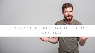 Lineare Differentialgleichung DGL 1 Ordnung  Einfach erklärt [upl. by Immak]