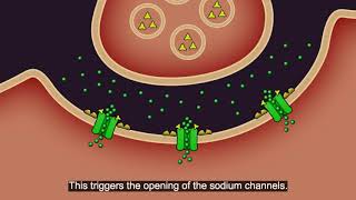 Resistance101  Insecticide classes amp modes of action [upl. by Terb251]