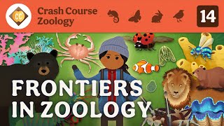 Frontiers in Zoology Crash Course Zoology 14 [upl. by Llerrac]