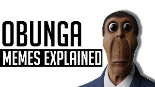 Obunga Memes Explained [upl. by Eellek935]