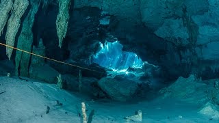 Cenote diving Dos Ojos Mexico [upl. by Aimo60]