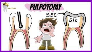 Fetal Circulation  Embryology  Dr Najeeb [upl. by Eiloj672]