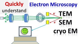 Electron microscope  TEM  SEM  Cryo EM [upl. by Euginomod281]