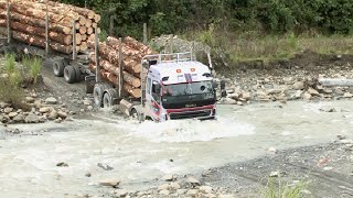 East Coast Forest Industry Gisborne New Zealand [upl. by Reggis]