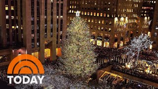 Meet the 2021 Rockefeller Center Christmas Tree [upl. by Eetse]