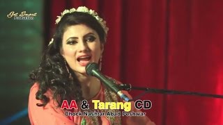 Der Zorawar Dey Janan  Nazia Iqbal Pashto Song  Pushto Hit Song [upl. by Eusadnilem722]