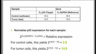 Real Time QPCR Data Analysis Tutorial part 2 [upl. by Hussar]