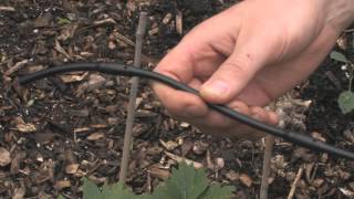 Drip Irrigation Basics [upl. by Aliehs]